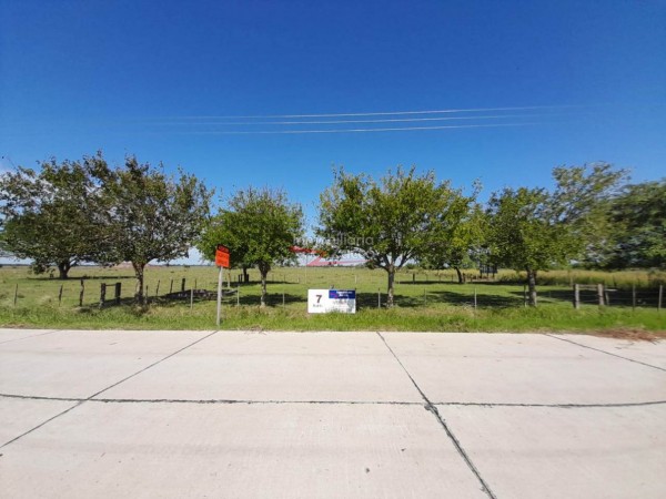 VENTA: 7 Ha. DE CAMPO SOBRE ASFALTO EN CORONDA - Ref. 1015