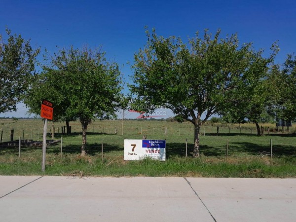 VENTA: 7 Ha. DE CAMPO SOBRE ASFALTO EN CORONDA - Ref. 1015