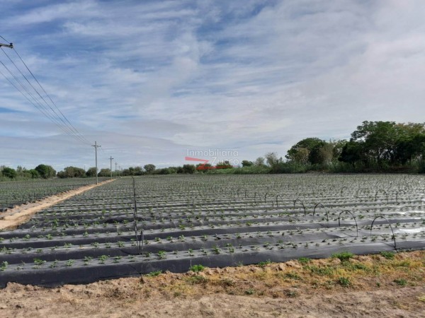 VENTA: QUINTA SOBRE EL RIO CORONDA - Ref. 1043