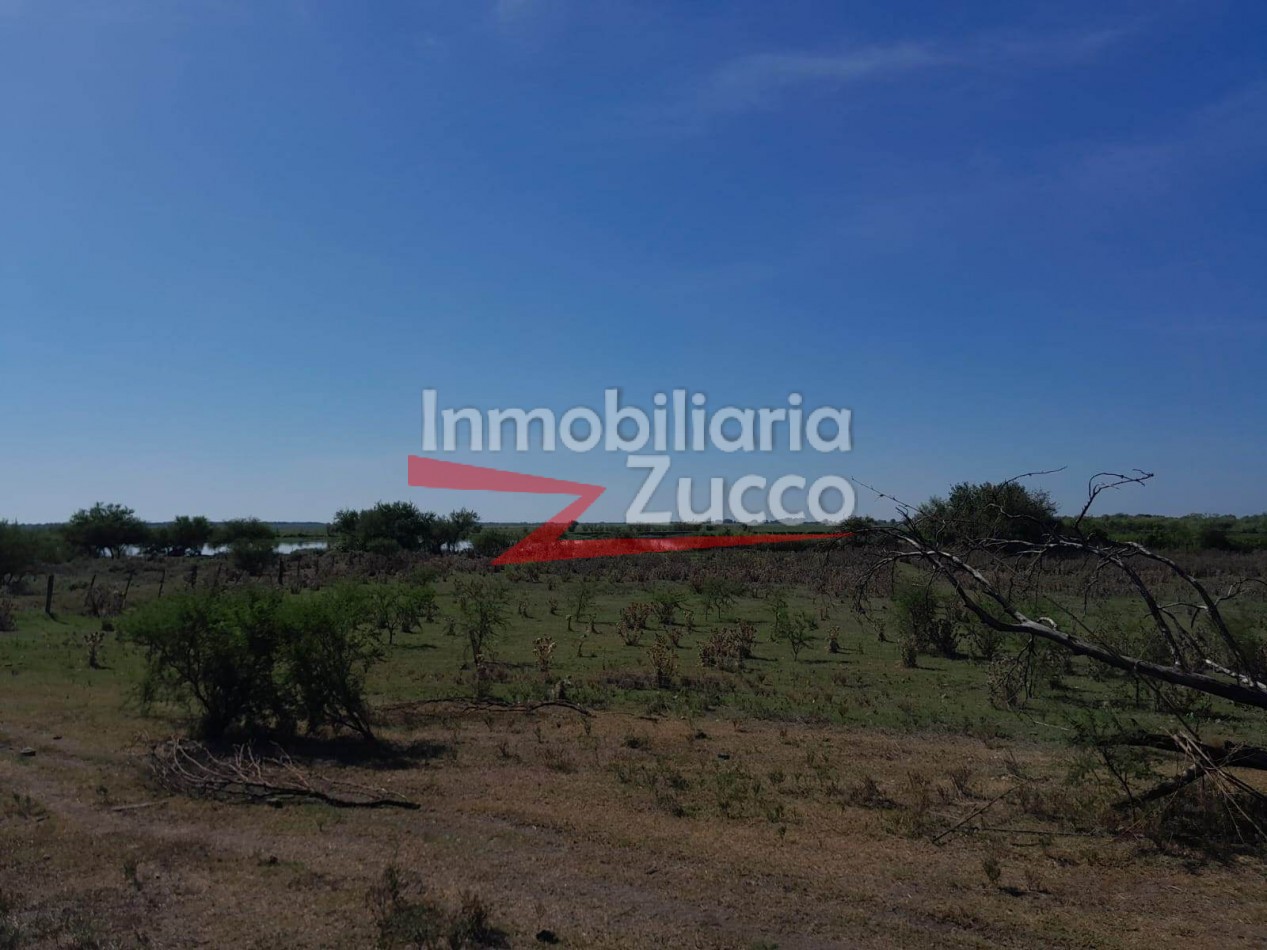VENTA: 1,5 Ha. CON CASA A RECICLAR, DESVIO ARIJON - Ref. 1272