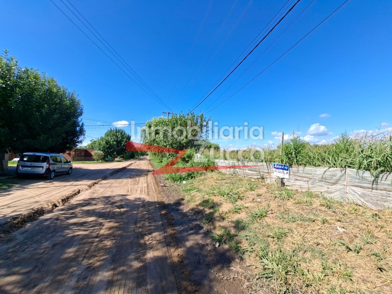 EN ALQUILER: QUINTA DE 5 HA. EN CORONDA - Ref. 352