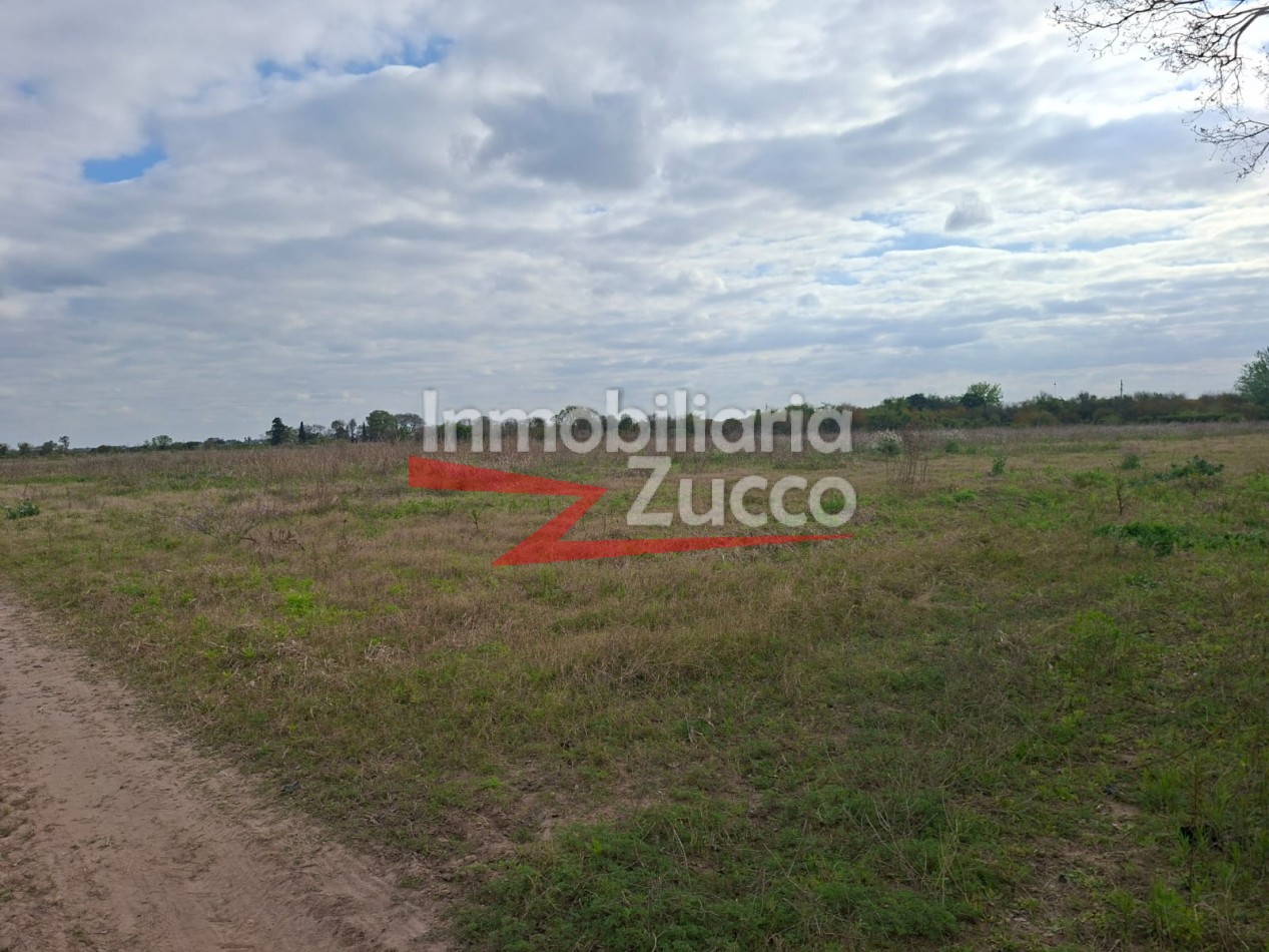 ALQUILO: QUINTA EN BARRIO CAIMA