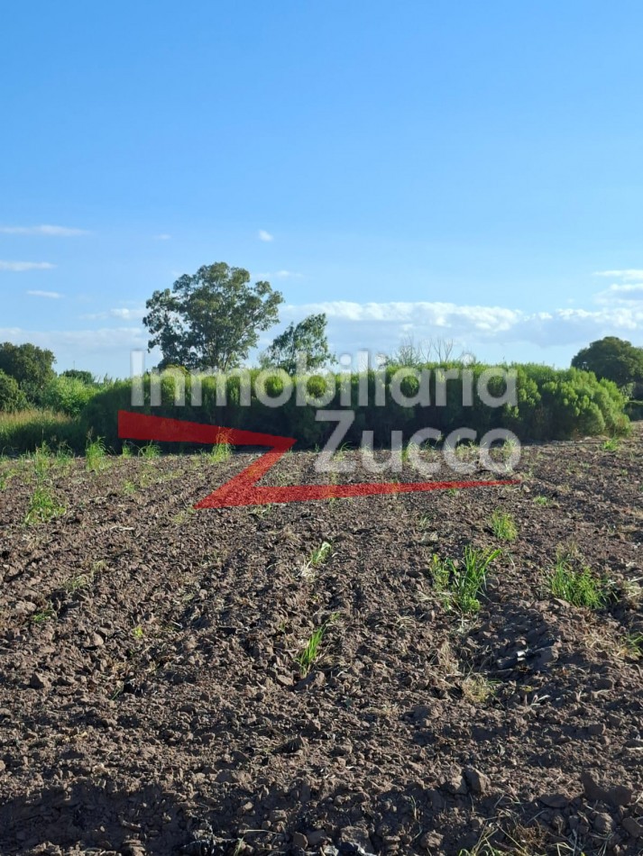 EN ALQUILER: QUINTA DE 5 HA. EN CORONDA - Ref. 352