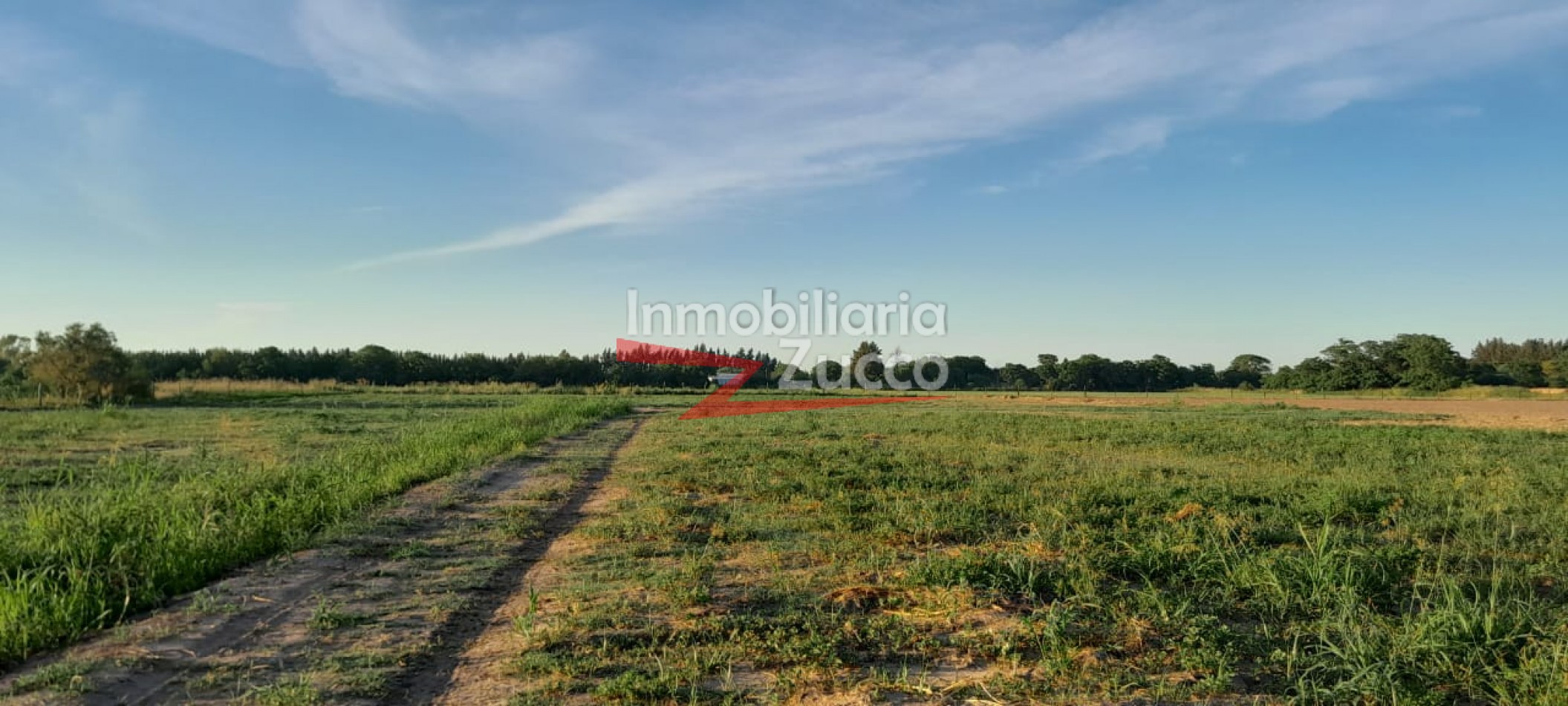 VENTA:  9 Ha. de campo en Coronda - Ref. 720
