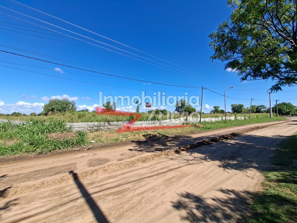 EN ALQUILER: QUINTA DE 5 HA. EN CORONDA - Ref. 352