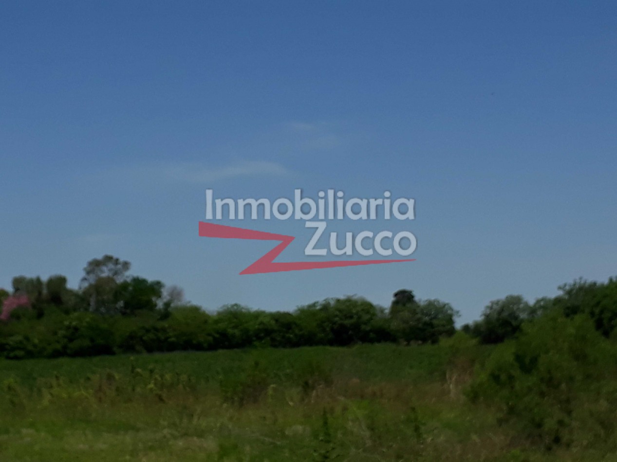 VENTA: CAMPO/QUINTA EN CORONDA - Ref. 431
