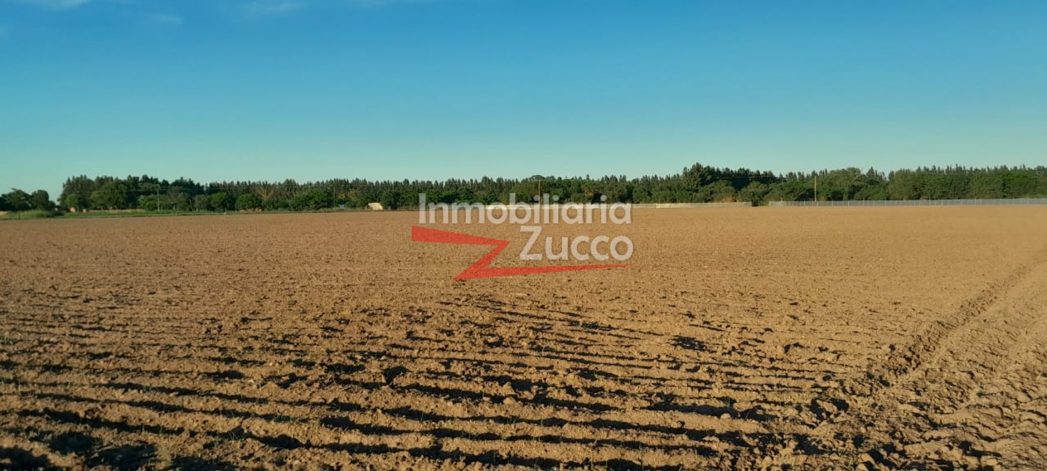 VENTA:  9 Ha. de campo en Coronda - Ref. 720