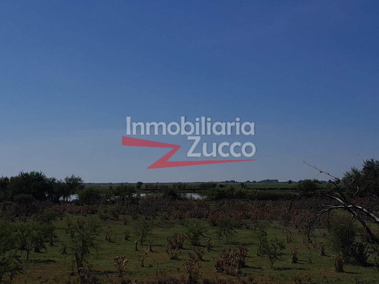 VENTA: 1,5 Ha. CON CASA A RECICLAR, DESVIO ARIJON - Ref. 1272