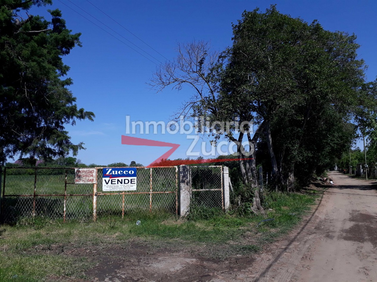 VENTA: CAMPO/QUINTA EN CORONDA - Ref. 431