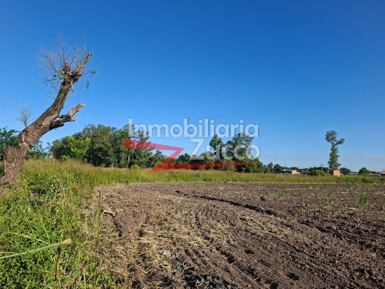 EN ALQUILER: QUINTA DE 5 HA. EN CORONDA - Ref. 352