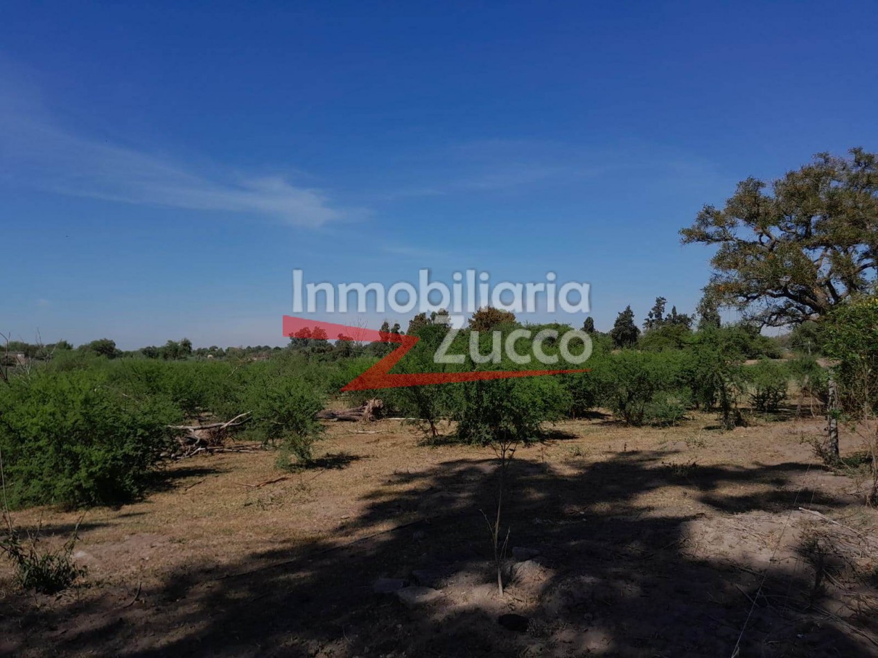 VENTA: 1,5 Ha. CON CASA A RECICLAR, DESVIO ARIJON - Ref. 1272