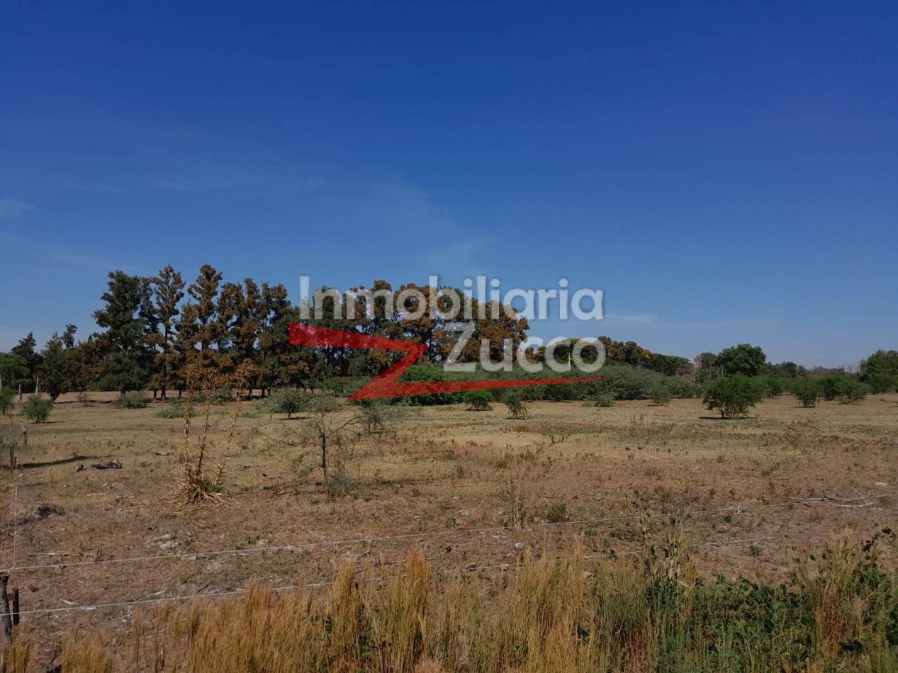 VENTA: 1,5 Ha. CON CASA A RECICLAR, DESVIO ARIJON - Ref. 1272