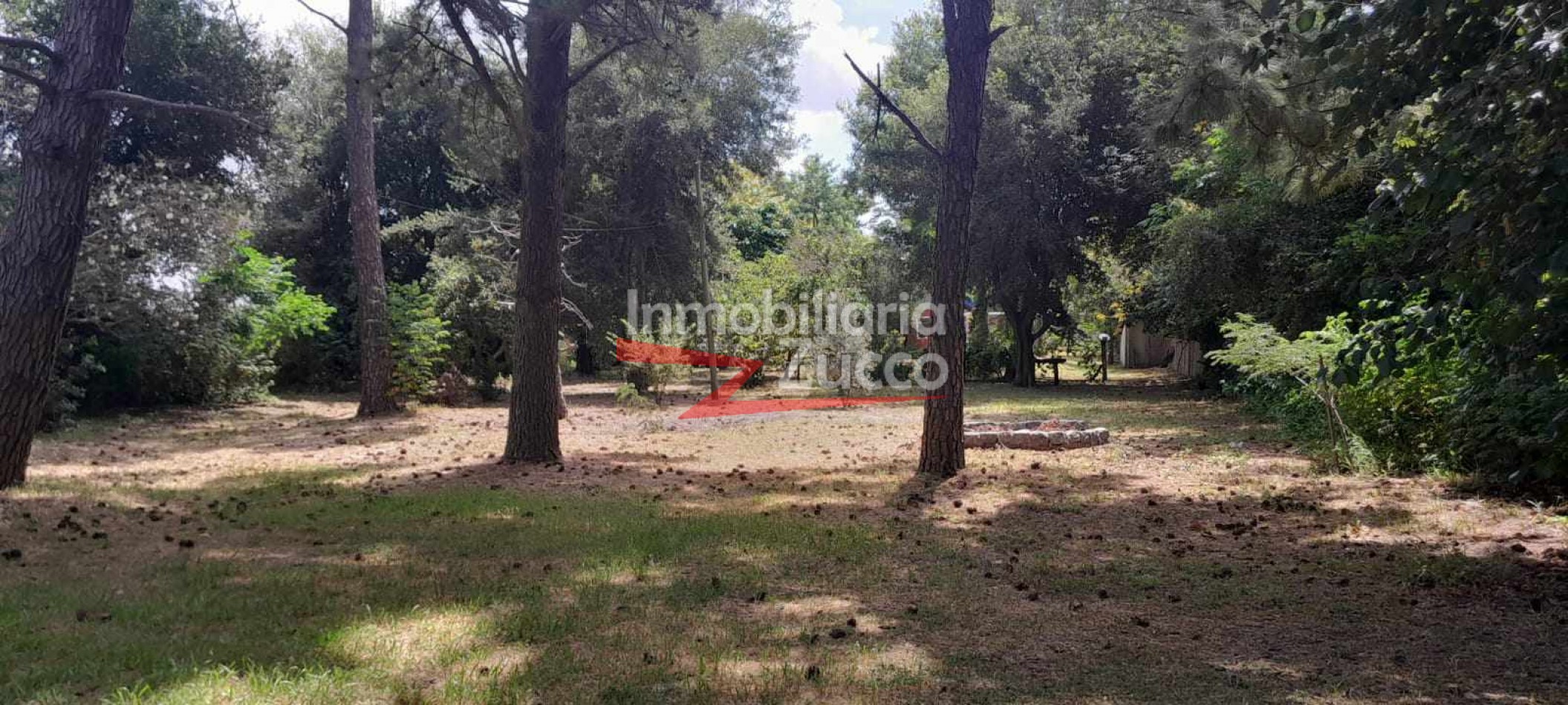 VENTA:DOS CABAÑAS SOBRE EL RIO EN DESVIO ARIJON - Ref. 1148