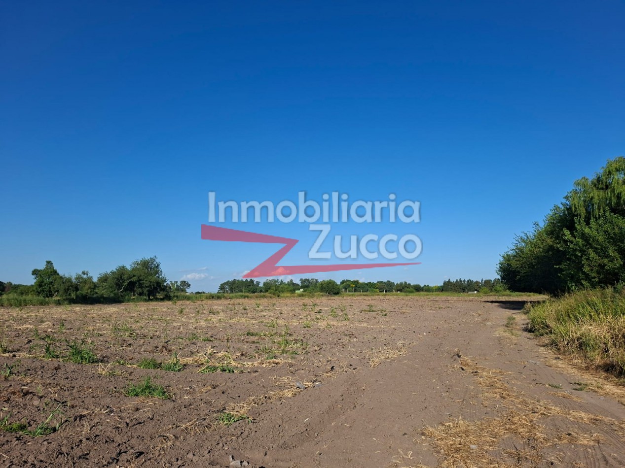 EN ALQUILER: QUINTA DE 5 HA. EN CORONDA - Ref. 352