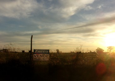 VENTA - CAMPO 8,3 HA. EN BARRANCAS - REF. 199 