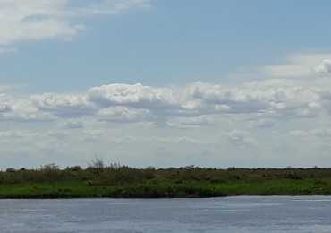 VENDO ISLA  - CORONDA - REF: 299