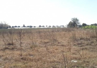 EN VENTA 1,6 Has. DE TIERRA APTA PARA FRUTICULTURA. Ref: 538