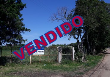 VENTA: CAMPO/QUINTA EN CORONDA - Ref. 431