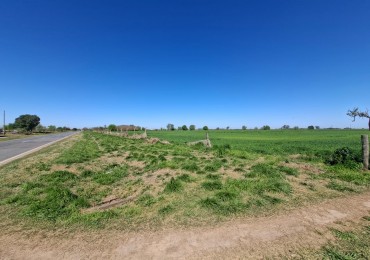 VENTA - CAMPO 8,3 HA. EN BARRANCAS - REF. 199 