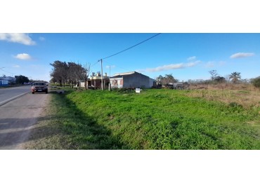 TERRENO EN VENTA- AROCENA- Ref. No 1313