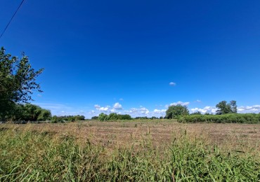 Ref. 1352 - Venta de lote 5,7 ha. con casa - Zona urbana Coronda.
