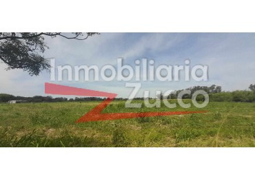 VENTA: LOTE DE 3 HA. EN CORONDA - Ref. 1146