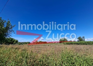 EN ALQUILER: QUINTA DE 5 HA. EN CORONDA - Ref. 352