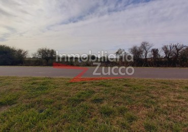 CAMPO 4,2 HA. EN VENTA EN CORONDA - Ref. 801
