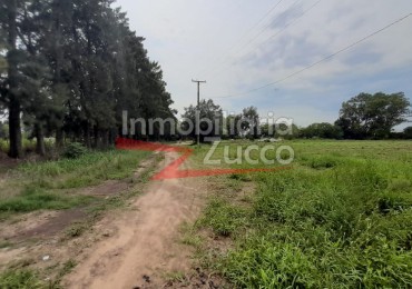 VENTA: QUINTA EN CORONDA - Ref. 861