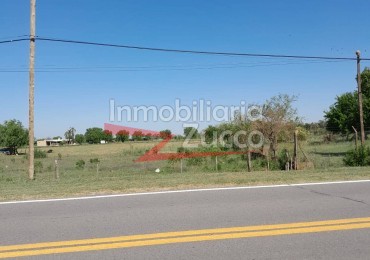VENTA: 1.66 HA. DE TIERRA EN CORONDA - Ref. 959