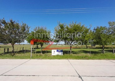 VENTA: 7 Ha. DE CAMPO SOBRE ASFALTO EN CORONDA - Ref. 1015