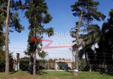 VENTA: CASA QUINTA - Ref. 242