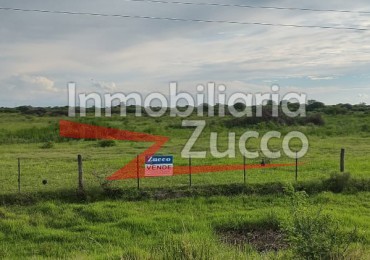 VENTA: CAMPO 23 HA. SOBRE ACCESO A AUTOPISTA EN CORONDA - Ref. 864