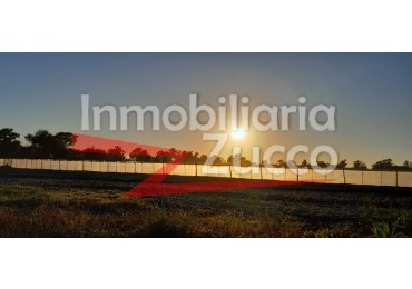 VENTA:  9 Ha. de campo en Coronda - Ref. 720
