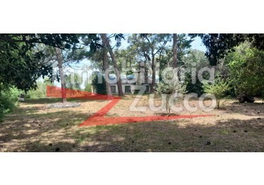 VENTA:DOS CABAÑAS SOBRE EL RIO EN DESVIO ARIJON - Ref. 1148